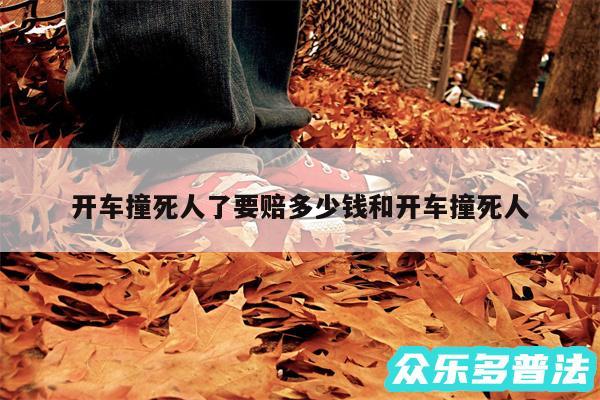 开车撞死人了要赔多少钱和开车撞死人