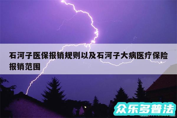 石河子医保报销规则以及石河子大病医疗保险报销范围