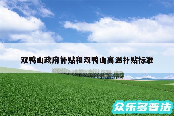 双鸭山政府补贴和双鸭山高温补贴标准