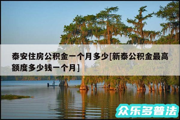 泰安住房公积金一个月多少及新泰公积金最高额度多少钱一个月
