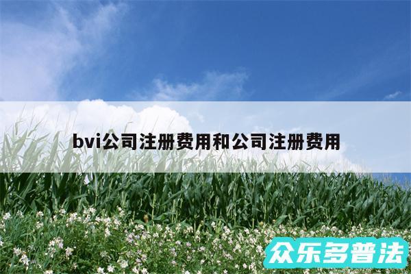 bvi公司注册费用和公司注册费用