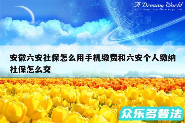 安徽六安社保怎么用手机缴费和六安个人缴纳社保怎么交