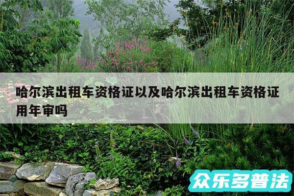哈尔滨出租车资格证以及哈尔滨出租车资格证用年审吗