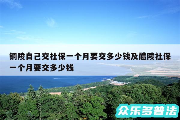 铜陵自己交社保一个月要交多少钱及醴陵社保一个月要交多少钱