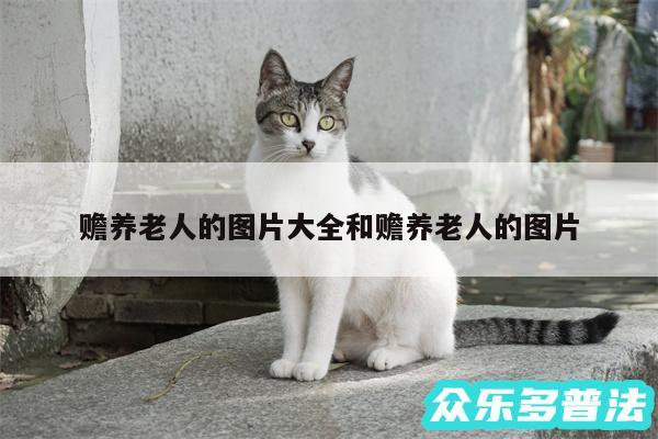 赡养老人的图片大全和赡养老人的图片