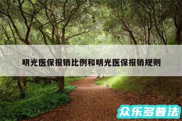 明光医保报销比例和明光医保报销规则
