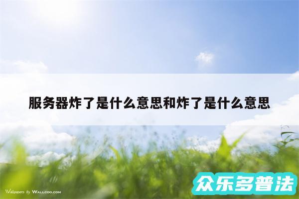 服务器炸了是什么意思和炸了是什么意思