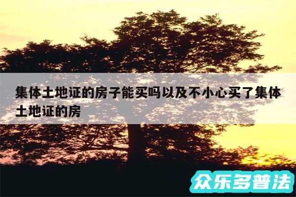 集体土地证的房子能买吗以及不小心买了集体土地证的房