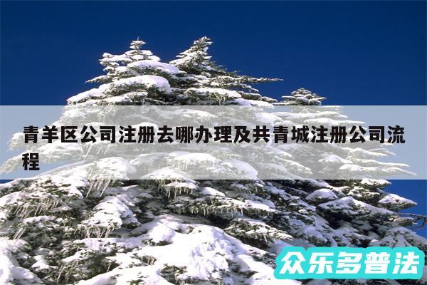 青羊区公司注册去哪办理及共青城注册公司流程