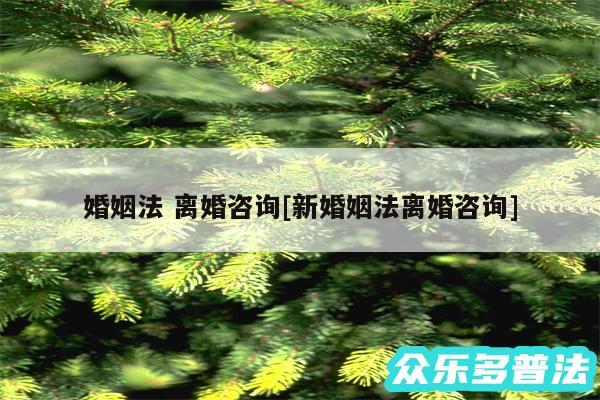 婚姻法 离婚咨询及新婚姻法离婚咨询