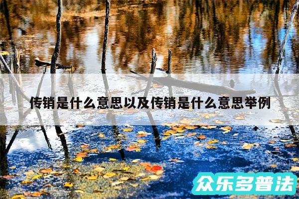 传销是什么意思以及传销是什么意思举例