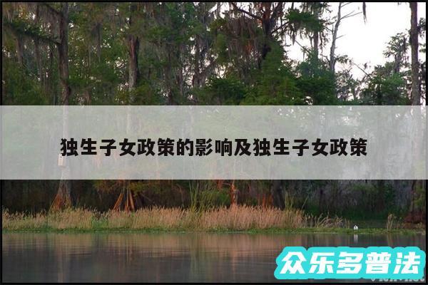独生子女政策的影响及独生子女政策