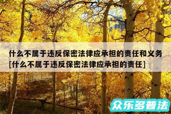 什么不属于违反保密法律应承担的责任和义务及什么不属于违反保密法律应承担的责任