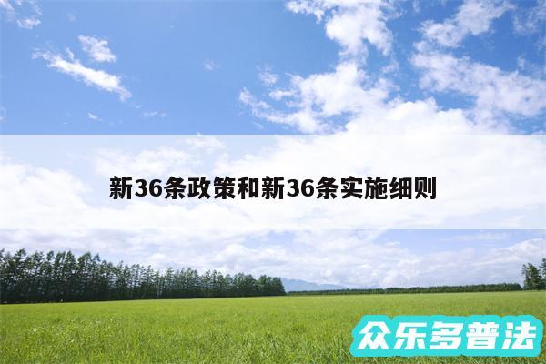 新36条政策和新36条实施细则