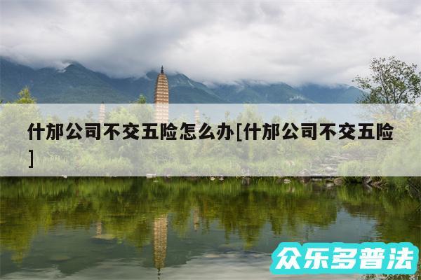什邡公司不交五险怎么办及什邡公司不交五险