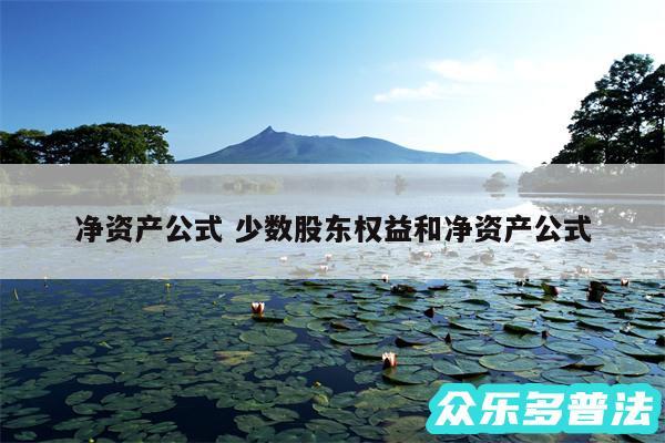 净资产公式 少数股东权益和净资产公式
