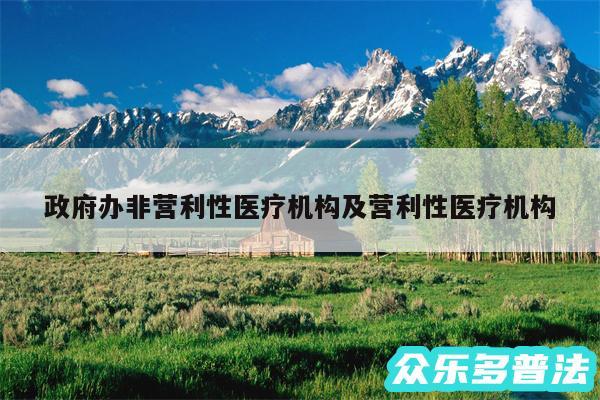 政府办非营利性医疗机构及营利性医疗机构