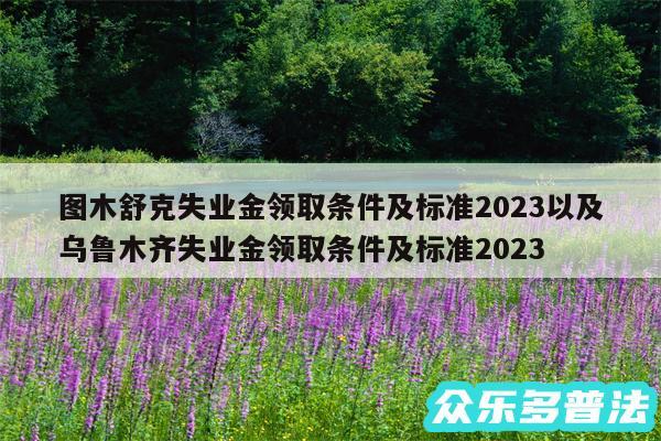 图木舒克失业金领取条件及标准2024以及乌鲁木齐失业金领取条件及标准2024