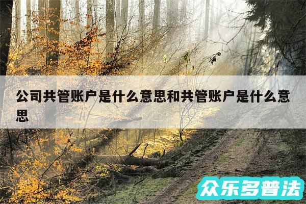 公司共管账户是什么意思和共管账户是什么意思