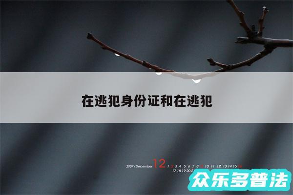 在逃犯身份证和在逃犯
