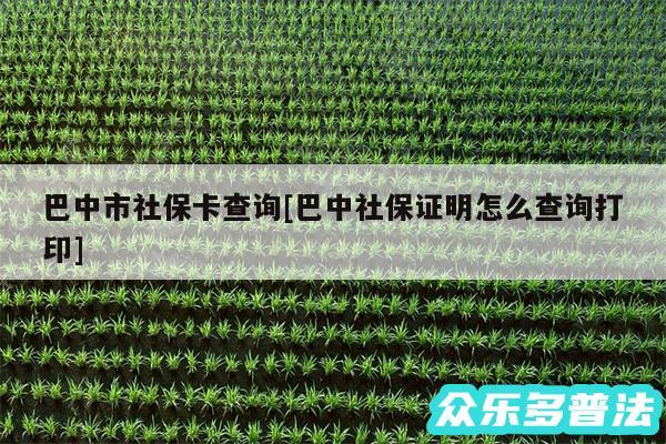 巴中市社保卡查询及巴中社保证明怎么查询打印