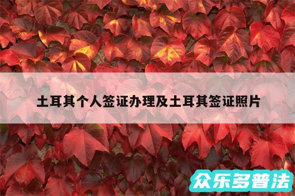 土耳其个人签证办理及土耳其签证照片