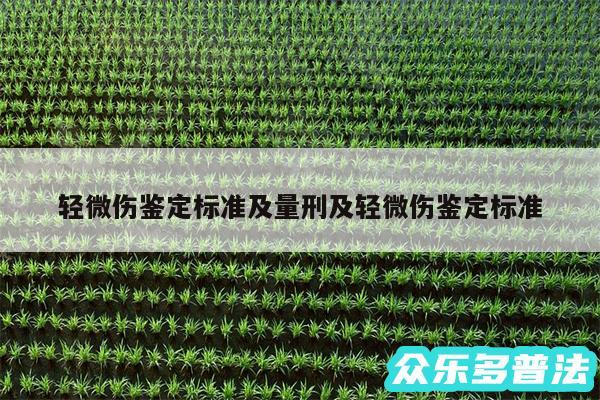 轻微伤鉴定标准及量刑及轻微伤鉴定标准