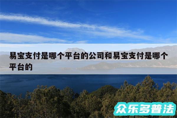 易宝支付是哪个平台的公司和易宝支付是哪个平台的
