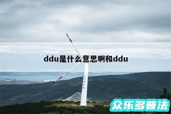 ddu是什么意思啊和ddu