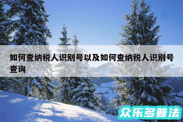 如何查纳税人识别号以及如何查纳税人识别号查询