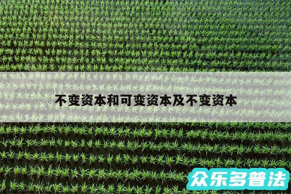 不变资本和可变资本及不变资本