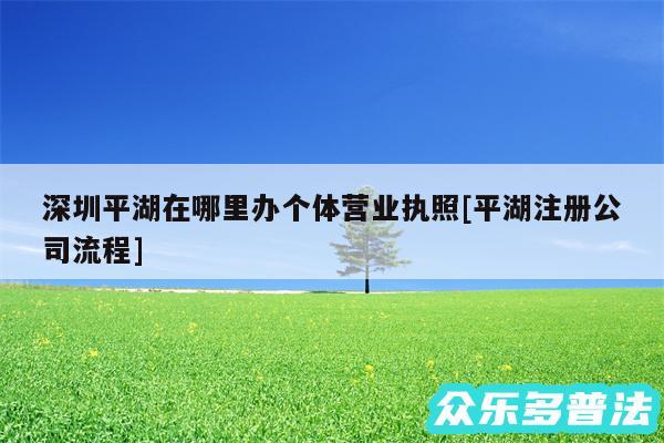 深圳平湖在哪里办个体营业执照及平湖注册公司流程