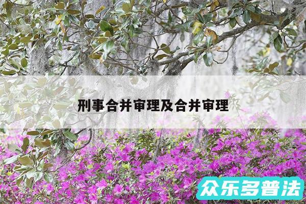刑事合并审理及合并审理