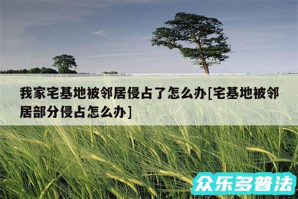 我家宅基地被邻居侵占了怎么办及宅基地被邻居部分侵占怎么办