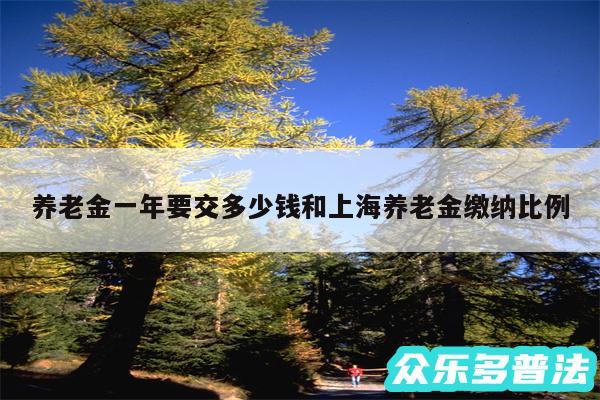 养老金一年要交多少钱和上海养老金缴纳比例