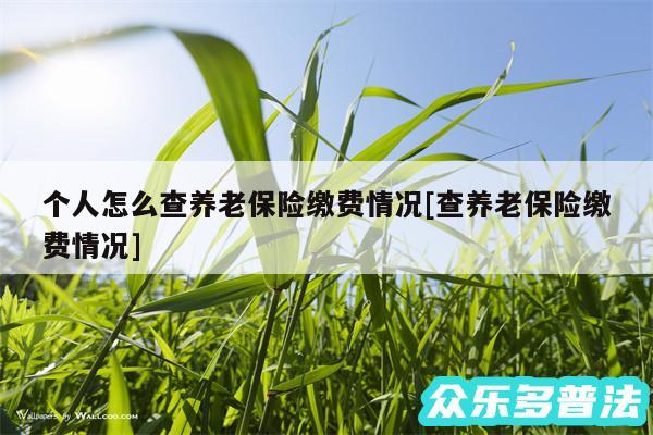 个人怎么查养老保险缴费情况及查养老保险缴费情况