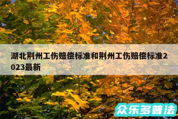 湖北荆州工伤赔偿标准和荆州工伤赔偿标准2024最新