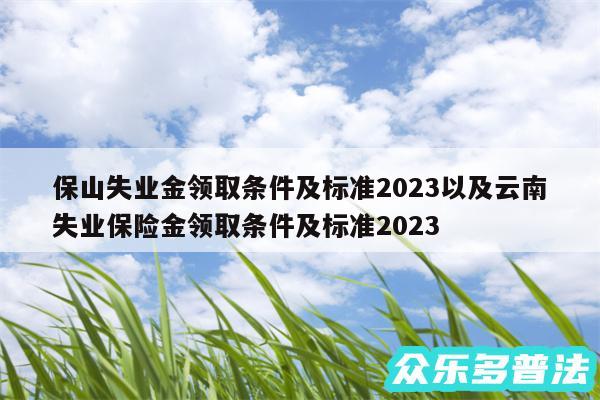 保山失业金领取条件及标准2024以及云南失业保险金领取条件及标准2024