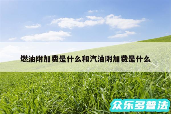 燃油附加费是什么和汽油附加费是什么