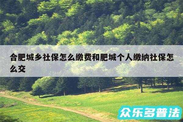 合肥城乡社保怎么缴费和肥城个人缴纳社保怎么交