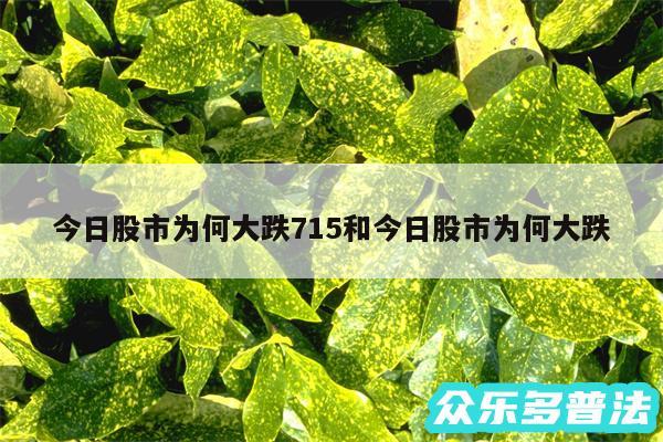 今日股市为何大跌715和今日股市为何大跌