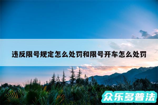 违反限号规定怎么处罚和限号开车怎么处罚
