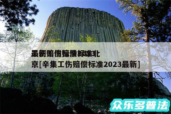 工伤赔偿标准2024最新工伤赔偿标准北京及辛集工伤赔偿标准2024最新
