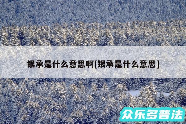银承是什么意思啊及银承是什么意思