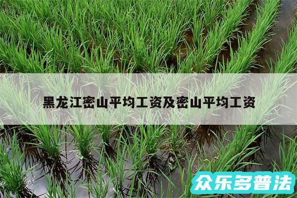 黑龙江密山平均工资及密山平均工资