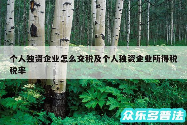 个人独资企业怎么交税及个人独资企业所得税税率