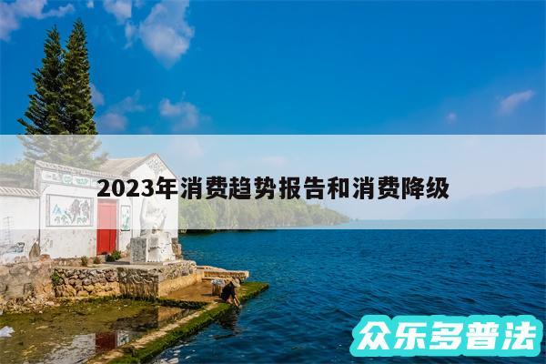 2024年消费趋势报告和消费降级