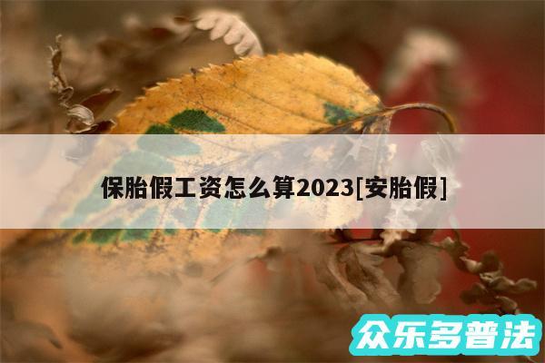 保胎假工资怎么算2024及安胎假