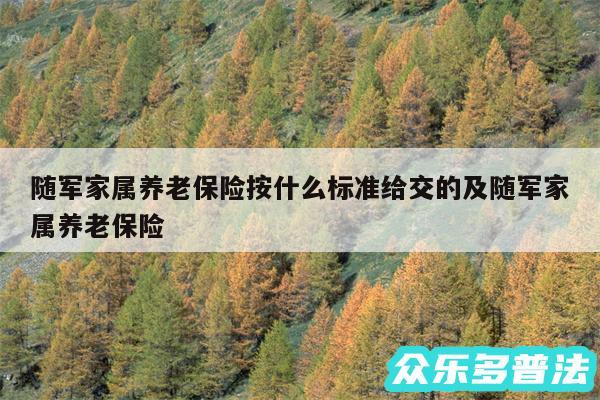 随军家属养老保险按什么标准给交的及随军家属养老保险