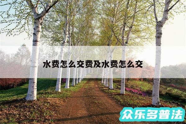 水费怎么交费及水费怎么交